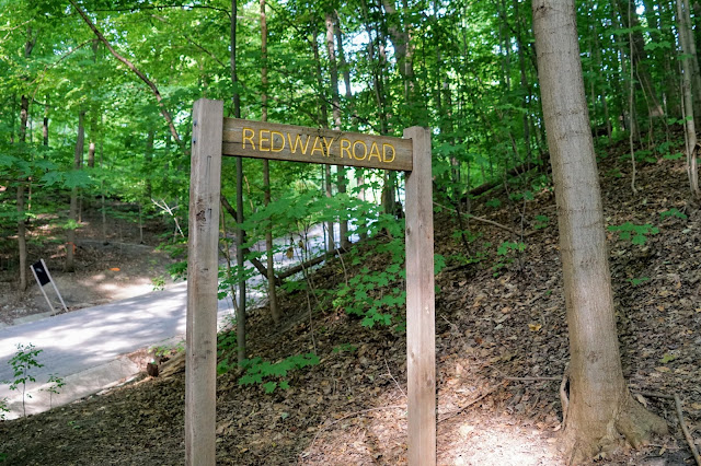 Choose Easier trail in Crothers Woods