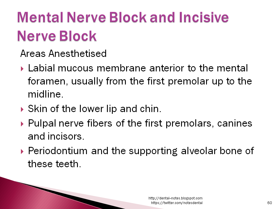 Dental Notes Mental and Incisive Nerve Block NOTES