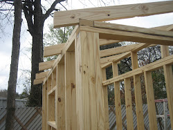 chicken coop roof framing clerestory backyard dallas parents texas building