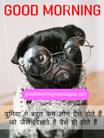 Cute Puppy Good Morning Pictures With Message In Hindi