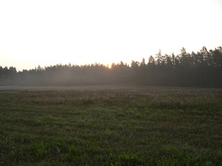 CIMG2546 - Vacker, dimmig höstmorgon