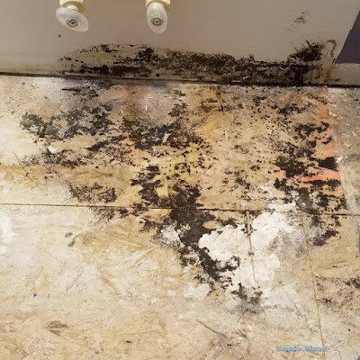 How to Repair a Moldy Floor