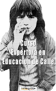 imagen curso experto en educacion de calle