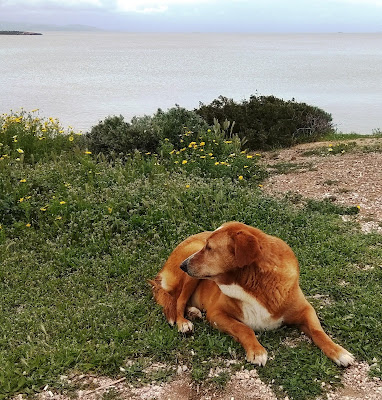 2020 04 03%2B16.01.00