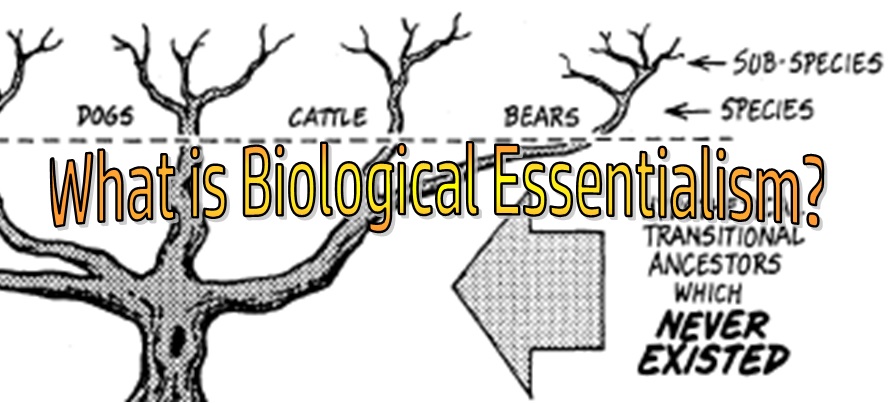 Young Earth Science: What is Biological Essentialism?