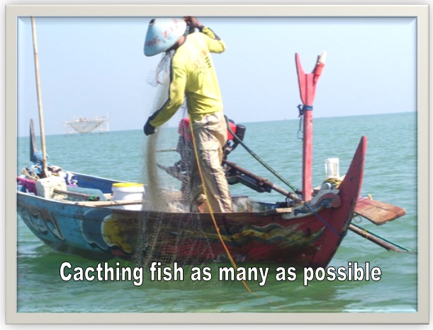 Soal Online Profession Jobs Occupation 2019 Bahasa Inggris Smp Mts