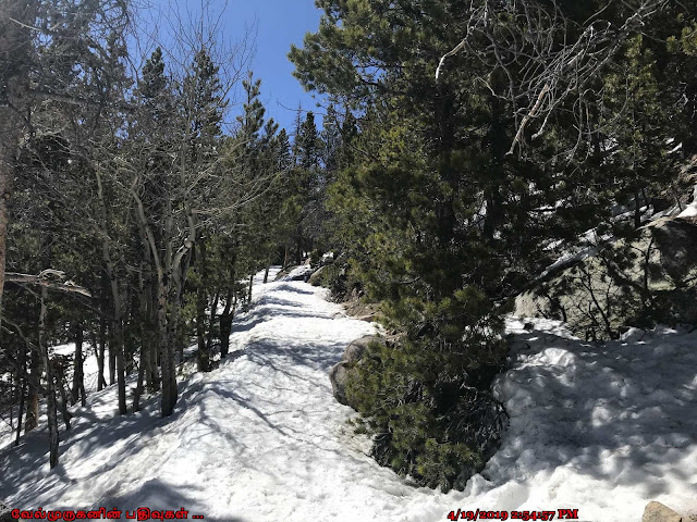 Nymph Lake Snowshoe Trail