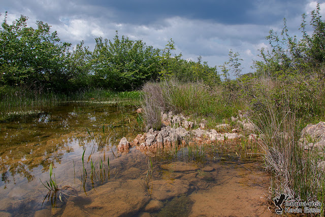 Habitat