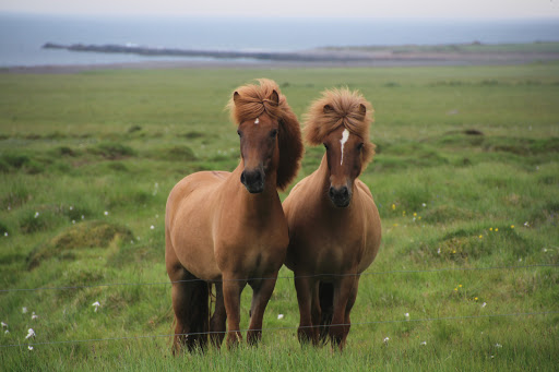 Велопоход по Исландии