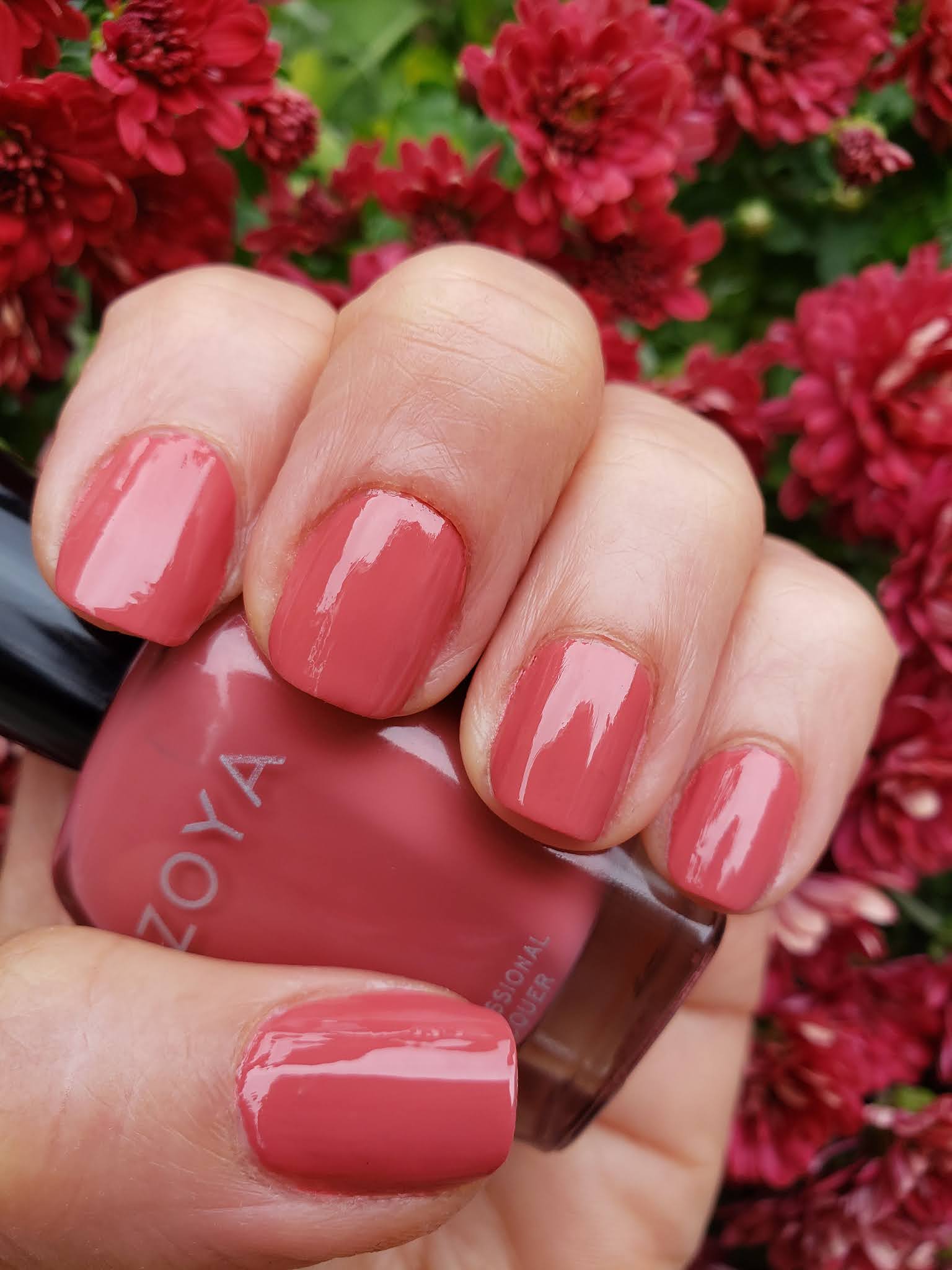 Best Pink Nail Polish 2021 Zoya Rose Palette