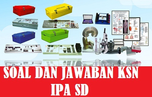 Latihan Soal Dan Jawaban Ksn Ipa Sd Tahun 2021 Kumpulan Soal Pas Pat Usbn Akm Sd Smp Sma Smk Media Informasi Pendidikan