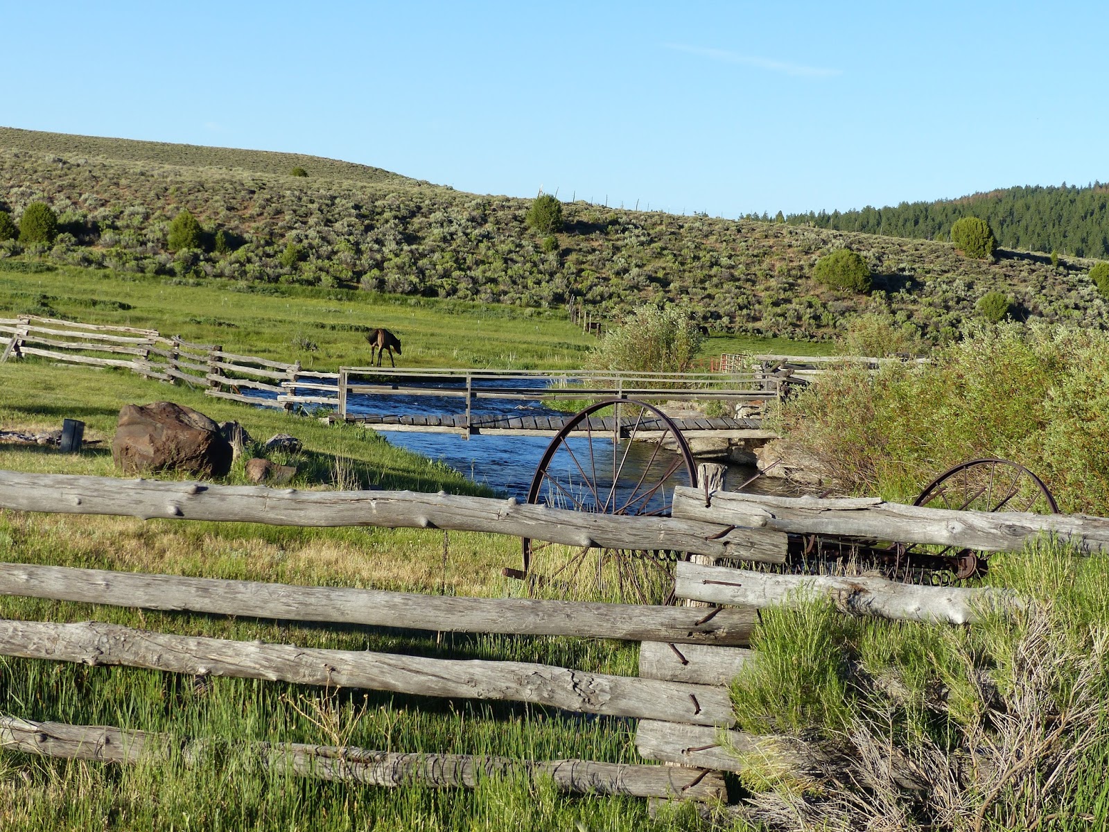 Land Cruising Adventure Panguitch Utah