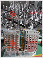 China professional PET/ PET bottle molding line supplier