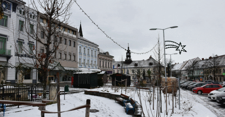 Die Franchise Gesellschaft Taunigma 2020