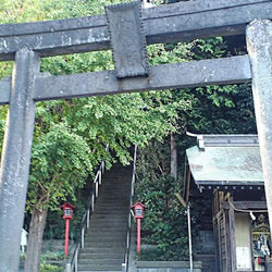 当たる 占い 横浜市/戸塚区/栄区 当たる 占い 横浜市/戸塚区/栄区