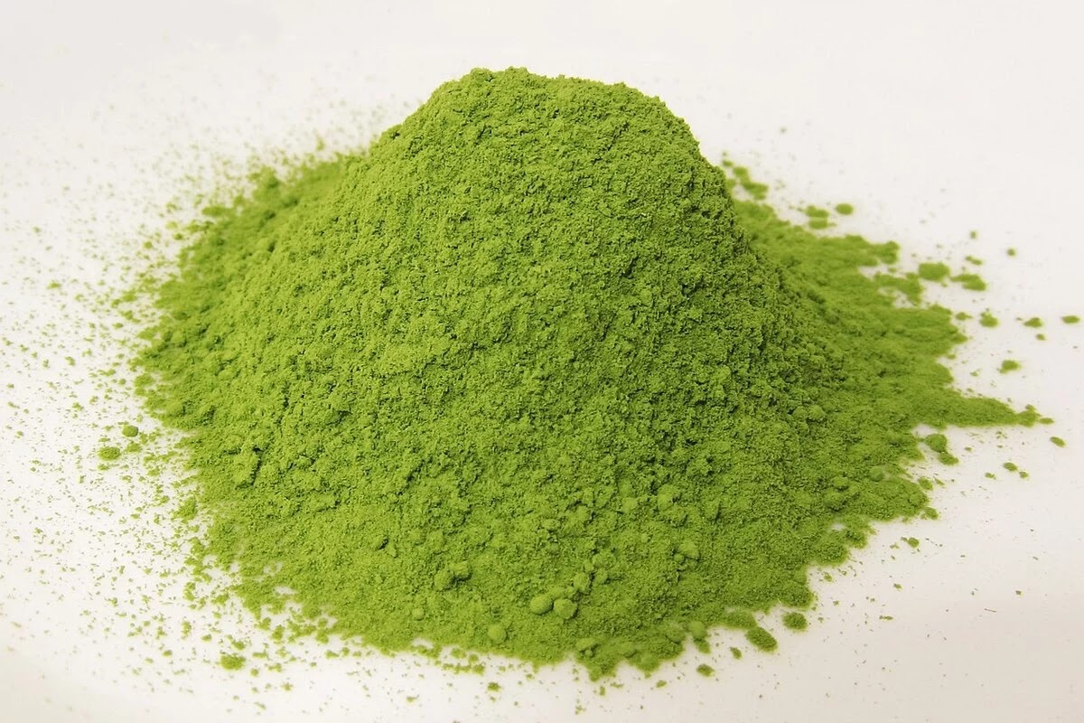 Matcha FAQ's are a help to many first time matcha drinkers Matcha FAQ