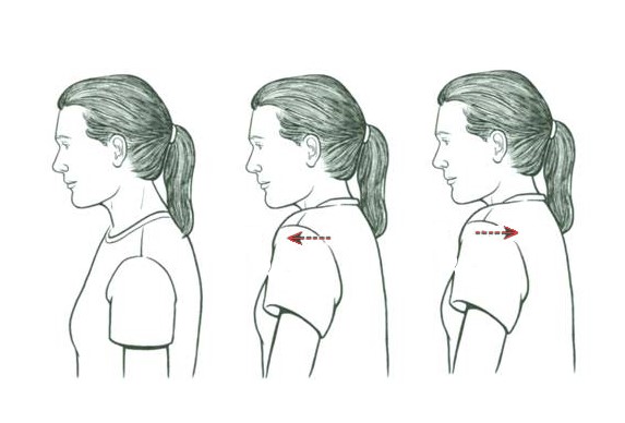 упражнение наклоны головы. накдоны головы в право и оево. плечи вперед назад упражнение. наклоны головы вперед назад. наклоны головы.
