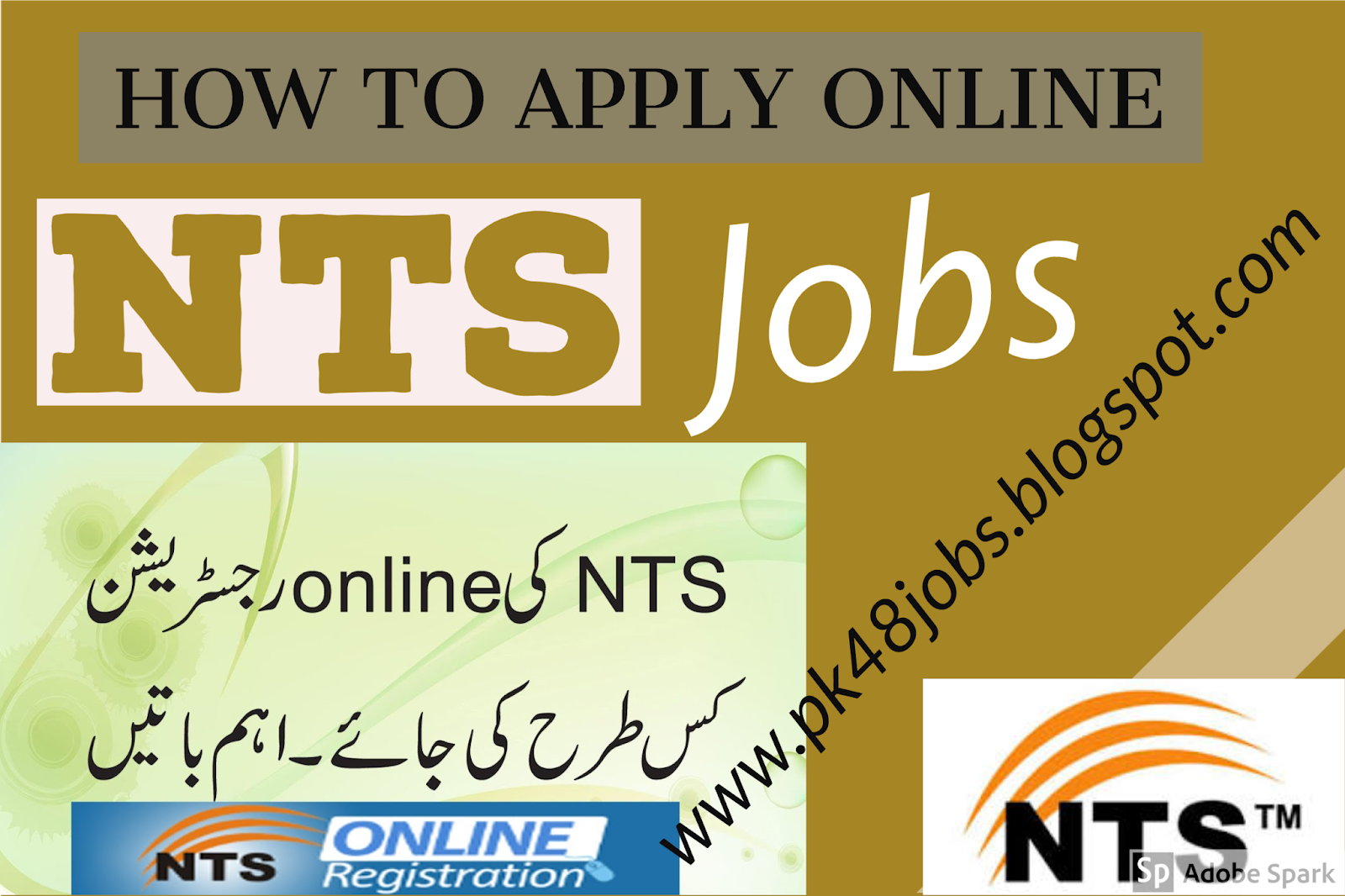 How to Apply Online in NTS National Testing Service Complete way of