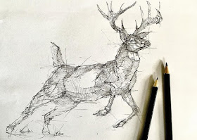 07-Deer-Brendan-www-designstack-co