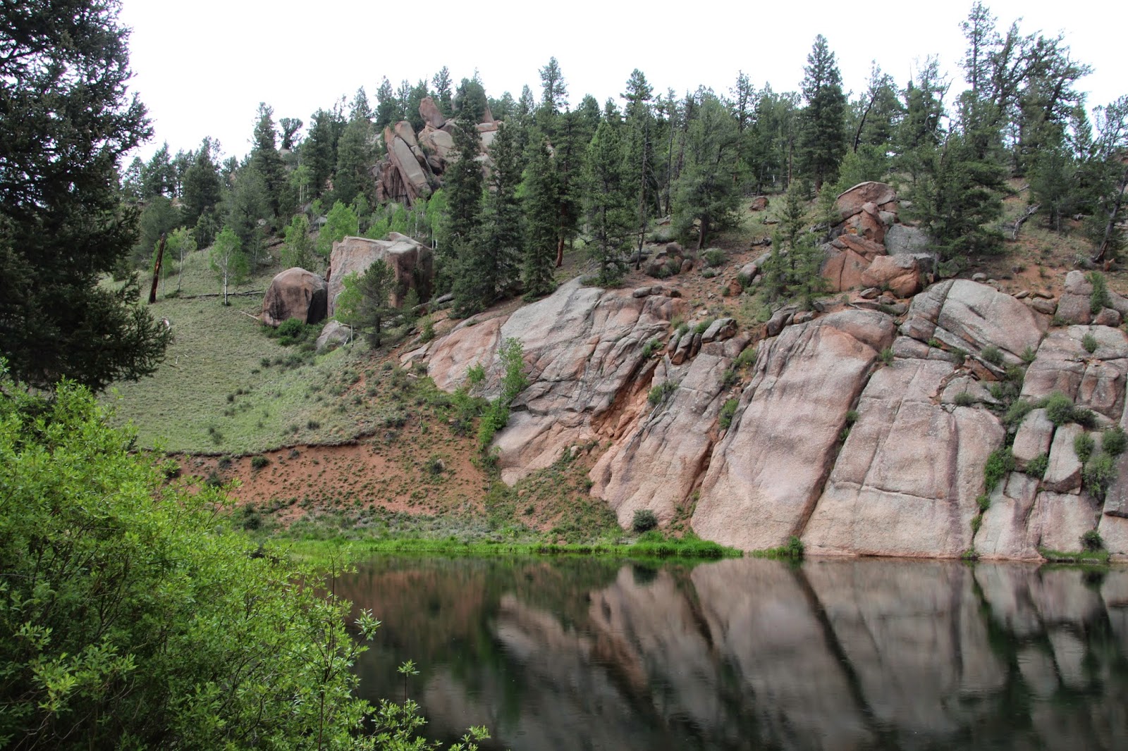 It Just Comes Naturally Back to the High Country (Mueller State Park)