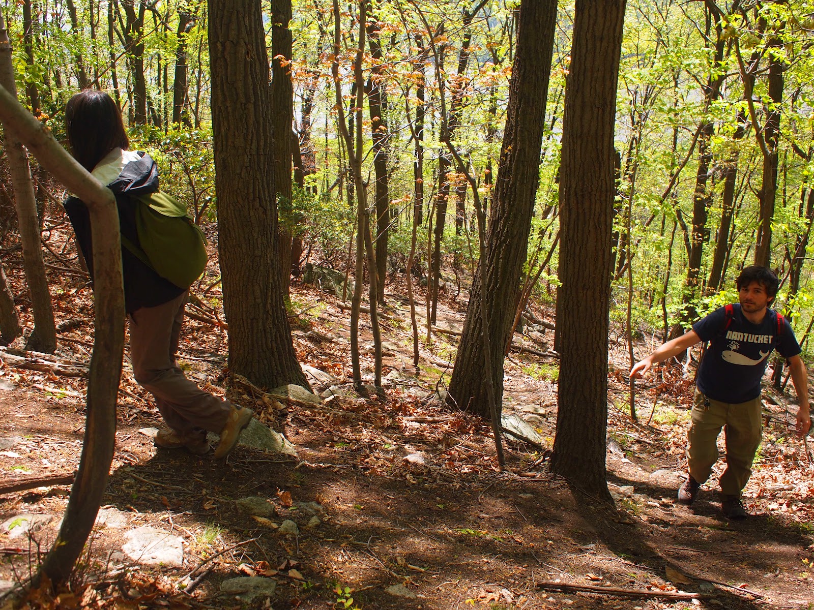 Ascending the trail