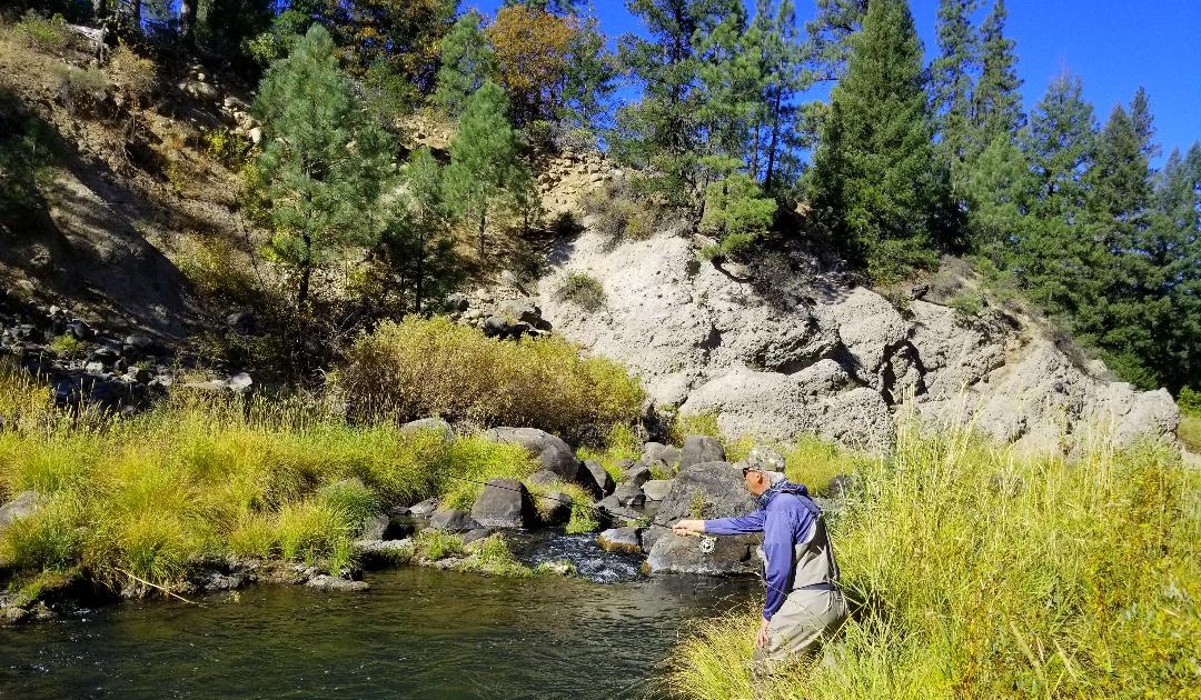 Jon Baiocchi Fly Fishing News Middle Fork Feather River Fly Fishing Report 10/18/2020