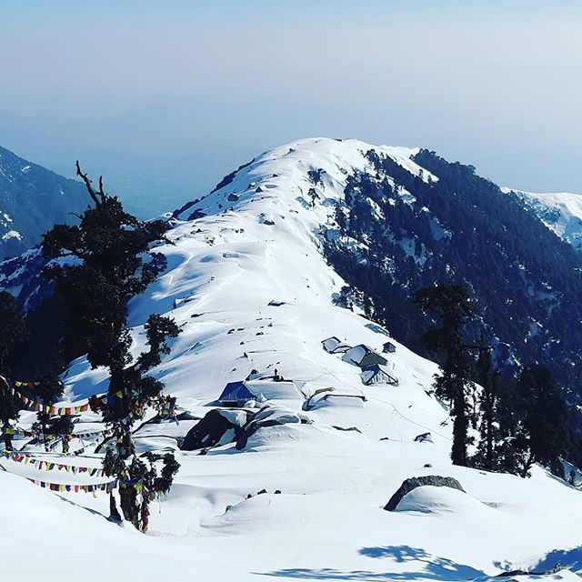4 important reasons that you should consider for visiting Dharamshala and Triund trek