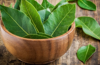 Manfaat Daun Salam Manfaat Daun Salam