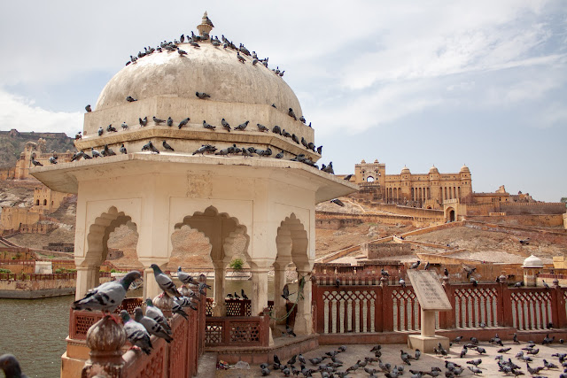 Amer Fort or Amber Fort Jaipur Rajasthan India Royalty Free Stock Images pictures