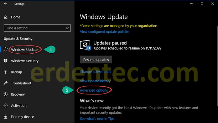 Pausing Windows 10 Updates Indefinitely