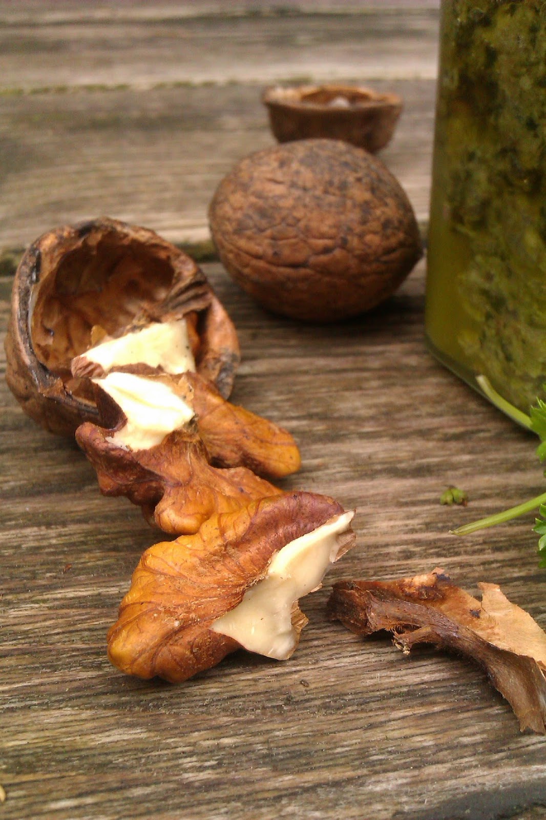 Frau Frieda: Walnuss-Petersilien-Pesto à la Astrid Frau Frieda: Walnuss-Petersilien-Pesto à la Astrid