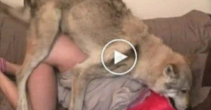 Watch Video:Dog and 9 years old girl making love