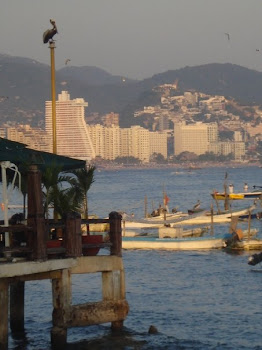 Acapulco Bay with Pelican