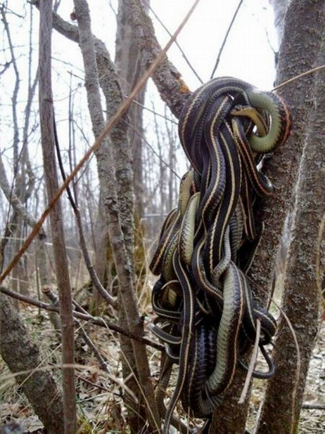 Picdump-Ritemail-026.jpg