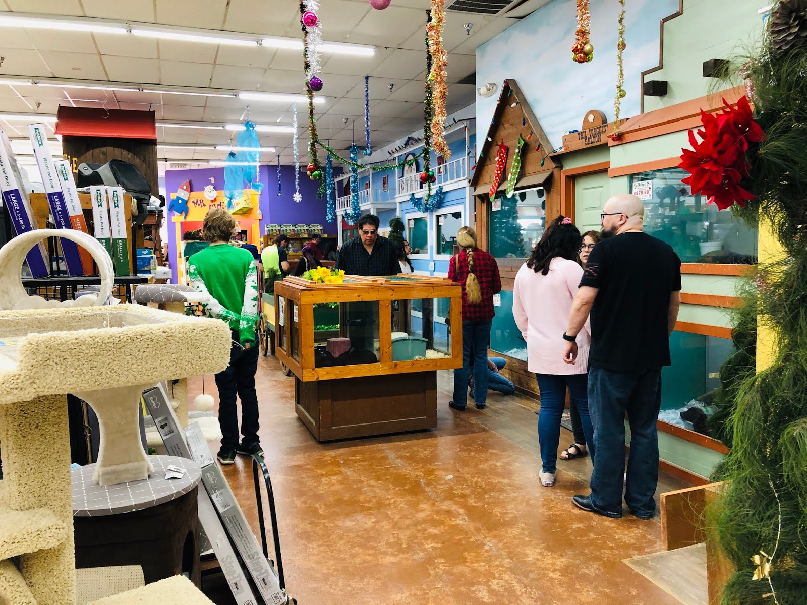 Airing My Laundry, One Post At A Time... Checking Out Polly's Pets In Universal City, Texas