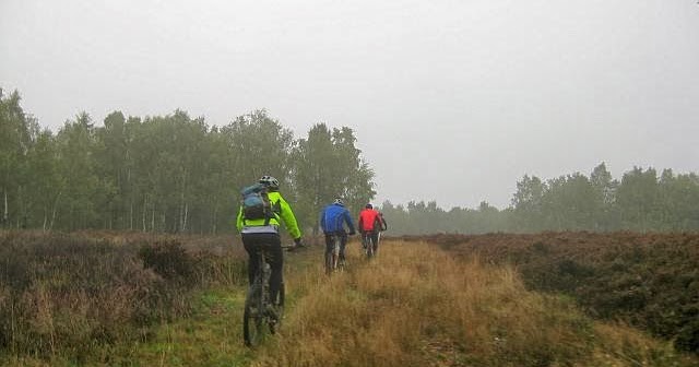 Grosste Kirmes Am Rhein 2019