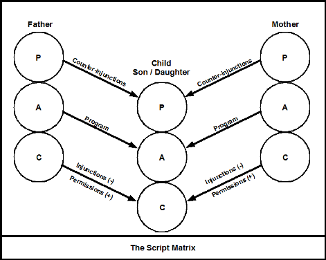 Transactional Analysis Theory and Practice: Transactional Analysis ...