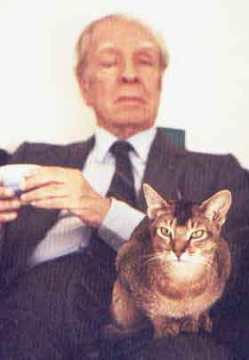 Oye Borges: Odín y Beppo, dos gatos de Jorge Luis Borges