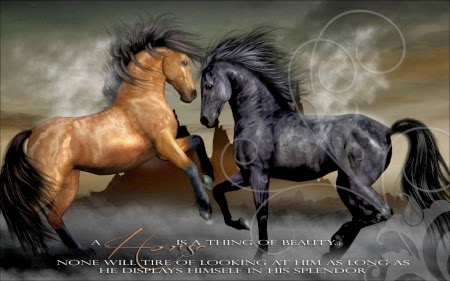 Car Wallpaper Inspirational Horse Quotes