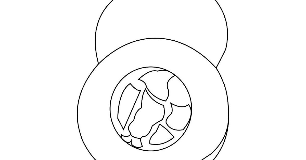 Dibujos Inglés Español con M Melón Cantaloupe