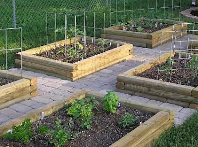 Simple Backyard Vegetable Garden Design Ideas