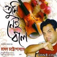 TUMI NEI BOLE Lyrics (তুমি নেই বলে) Raghab Chatterjee