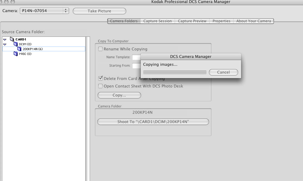 Women and Dreams Kodak DCS Pro 14n