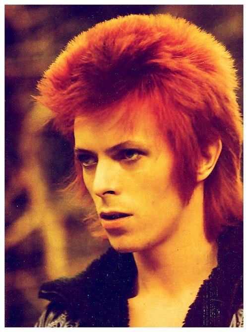 Perioperativ periode aktivering utålmodig Living in the material world: Hair of the Moment: David Bowie's red mullet!