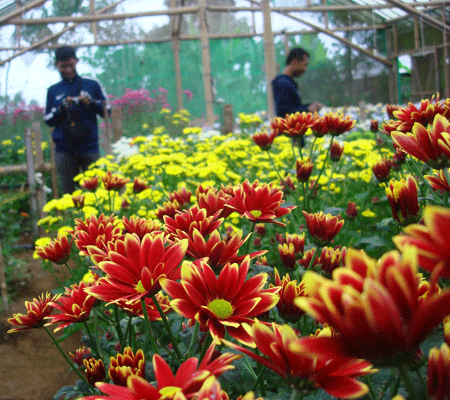 Taman Bunga Sendang, Tulungagung