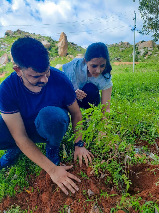 The Green Initiatives of The Law of Nature Group...