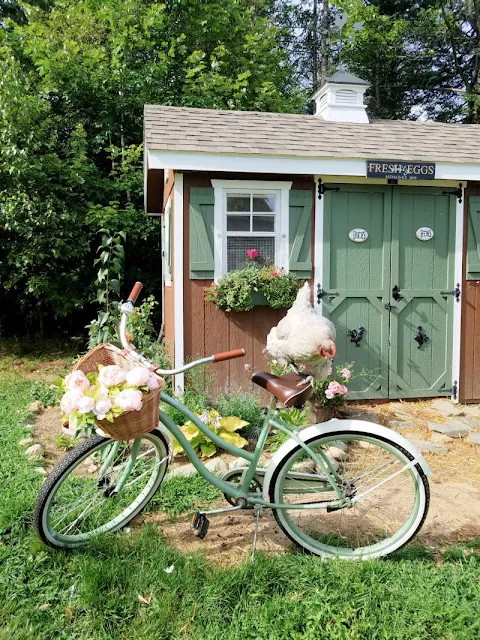 Chicken on bicycle in front of chicken coop