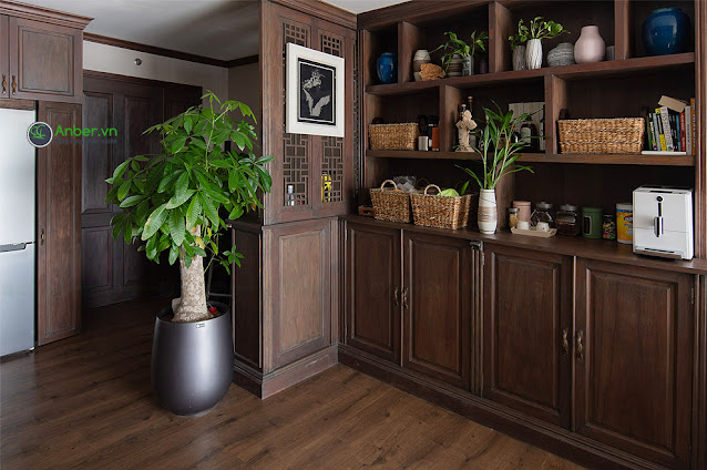 chậu cây kim ngân