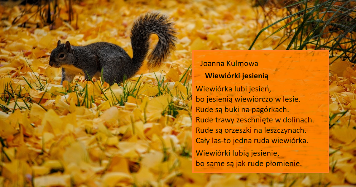 Wiersz Zofii Beszczyńskiej Ruda Wiewiórka Nie tylko pędzlem - ilustrujemy tekst