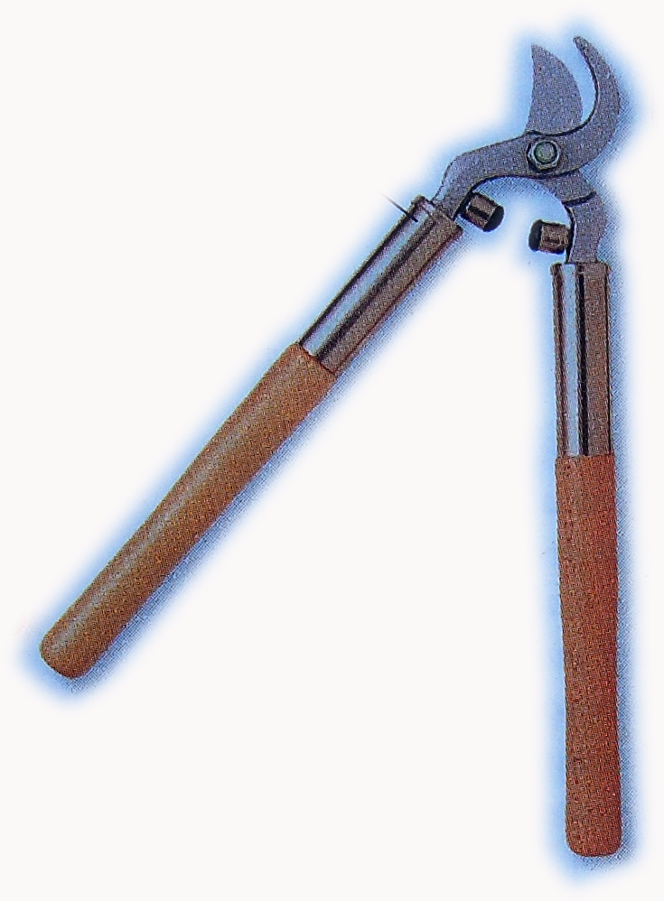 Durian Info Pruning Tools and How To Prune